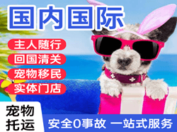兰旗机场货运国际宠物托运 【国